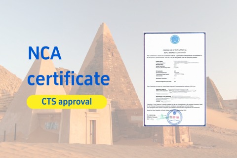 South Sudan NCA